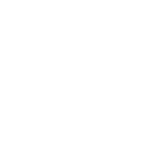 X-icon